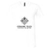 Unisex Jersey Short-Sleeve V-Neck T-Shirt Thumbnail